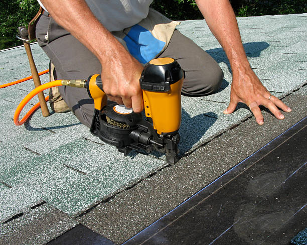 Best Commercial Roofing Services  in Roseau, MN