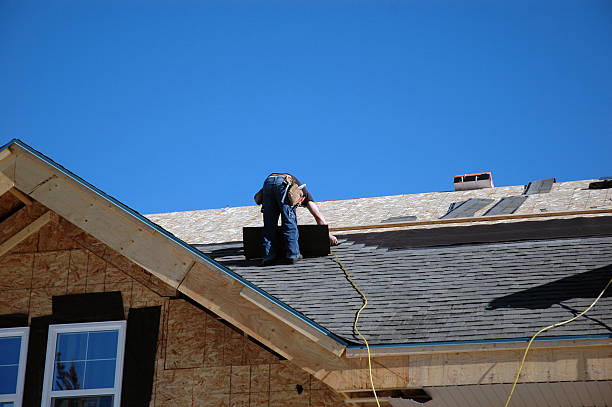 Best Sealant for Roof  in Roseau, MN