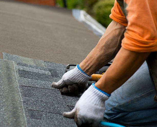 Best Roof Maintenance Services  in Roseau, MN