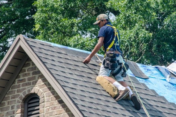 Best Roof Replacement Cost  in Roseau, MN